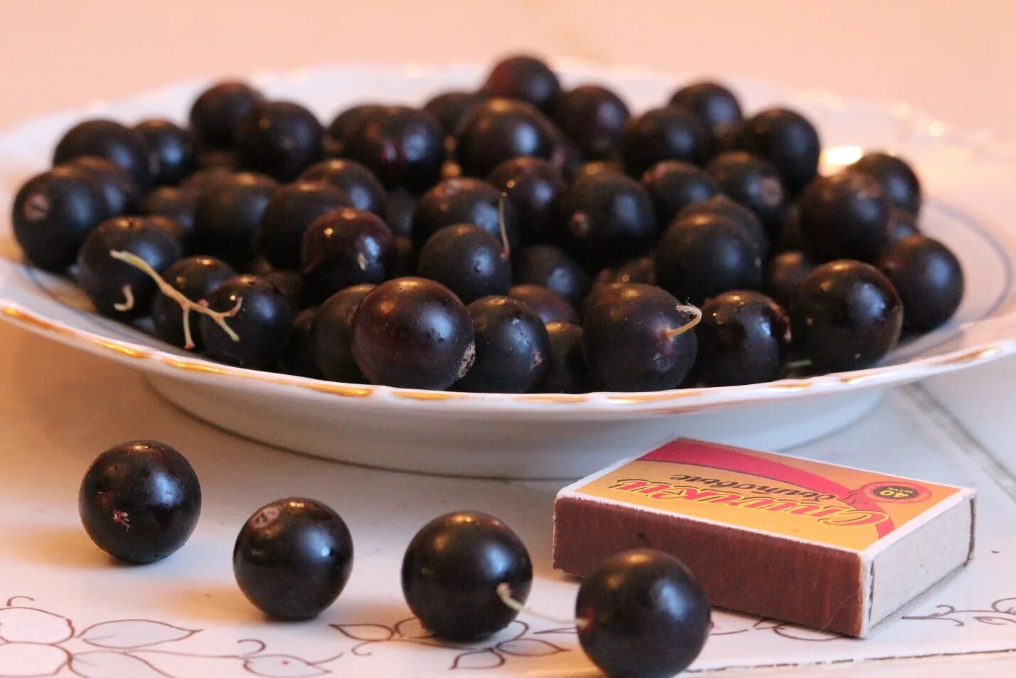 смородина черная ядреная окс. смородина ядреная 2. сорт смородины ядреная. ). смородина сорт пигмей.