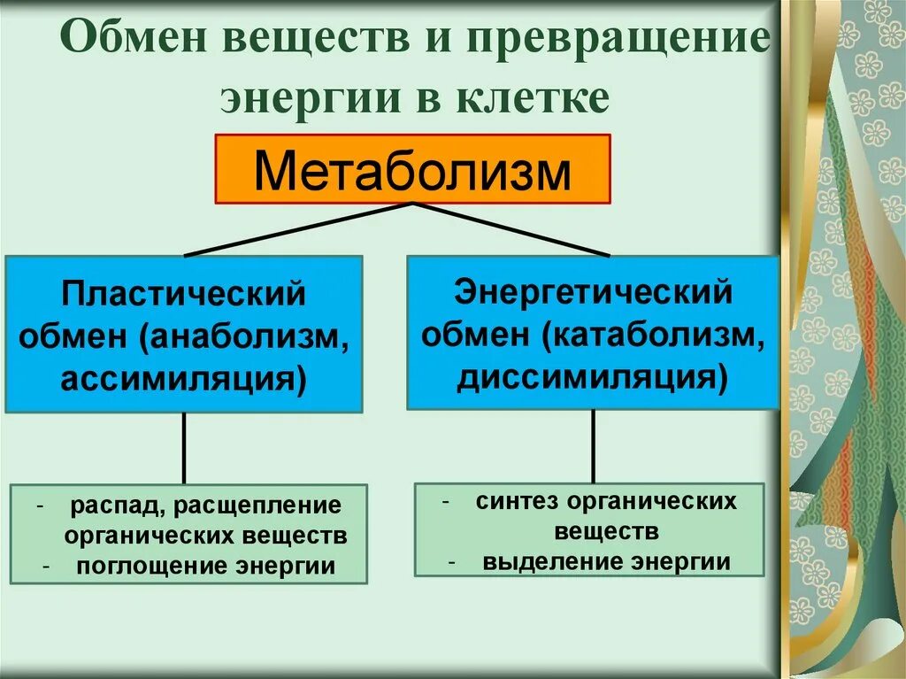 Обмен веществ человека биология. Обмен веществ схема 9 класс.