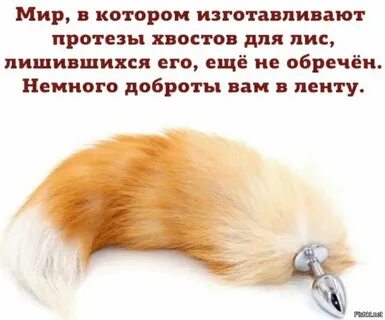 Вставила хвост