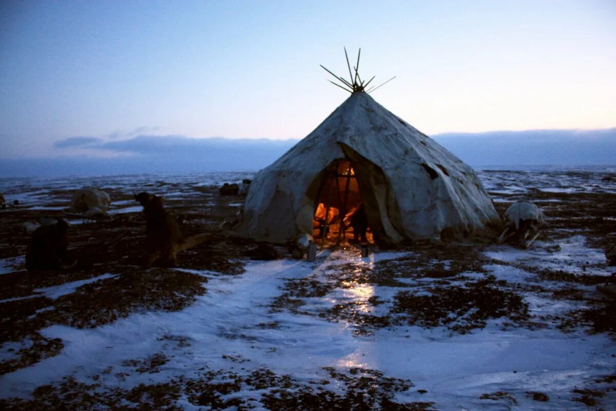 Чукотка яранги поселение. Чум и дом на ножках. Ненецкий автономный округ чум. Чум нарьян-мар. Украшение на чум.