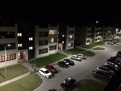 Медвежья поляна