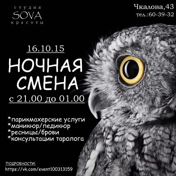 Сова невидимка как сделать. Приложение сова. приложения совёнок.