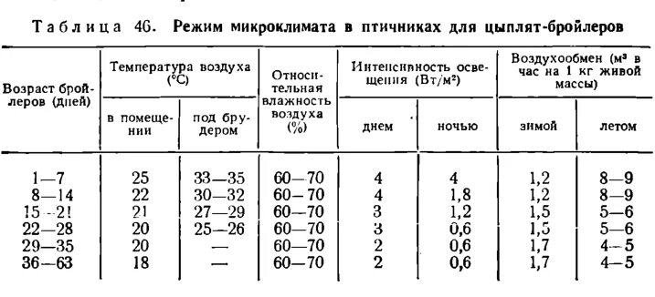 Температурный график выращивания бройлеров. Температурный режим для цыплят бройлеров. Цыплята бройлеры температурный режим выращивания. Температурная таблица для выращивания бройлеров. Световой режим для бройлеров