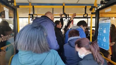 Дачные автобусы волжский