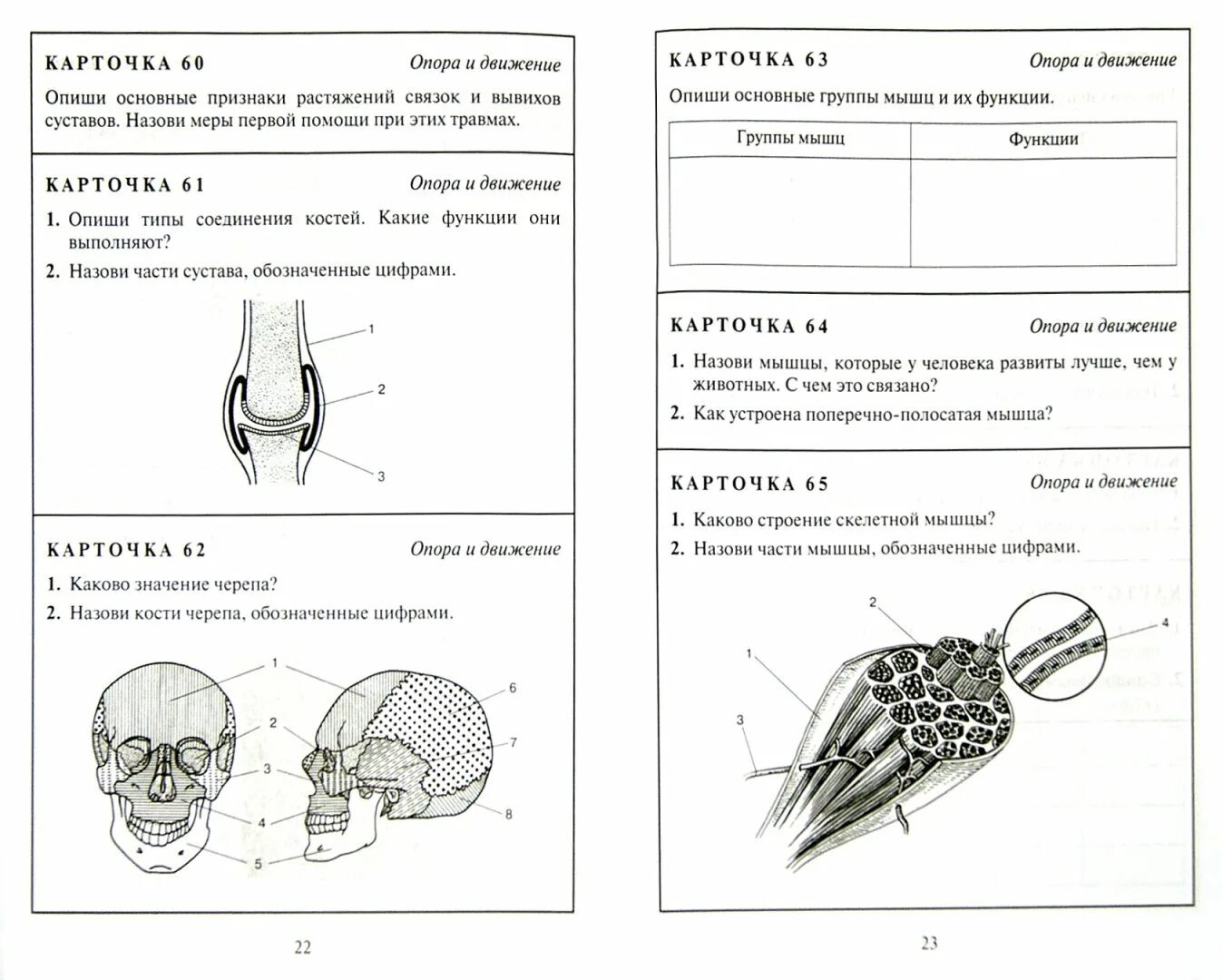 Задания по биологии 8 класс мышцы. Карточки задания по биологии. Задания по биологии человек. Карточки для ЕГЭ по биологии.