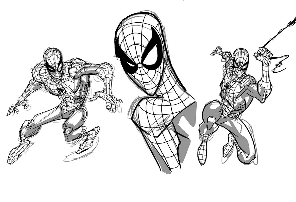 Draw spider man