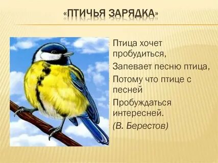 Пернатый песенник состояние оживления