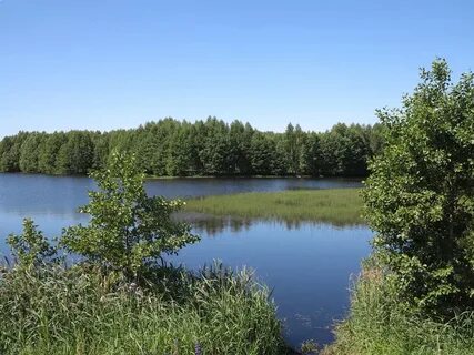 Озеро полосками