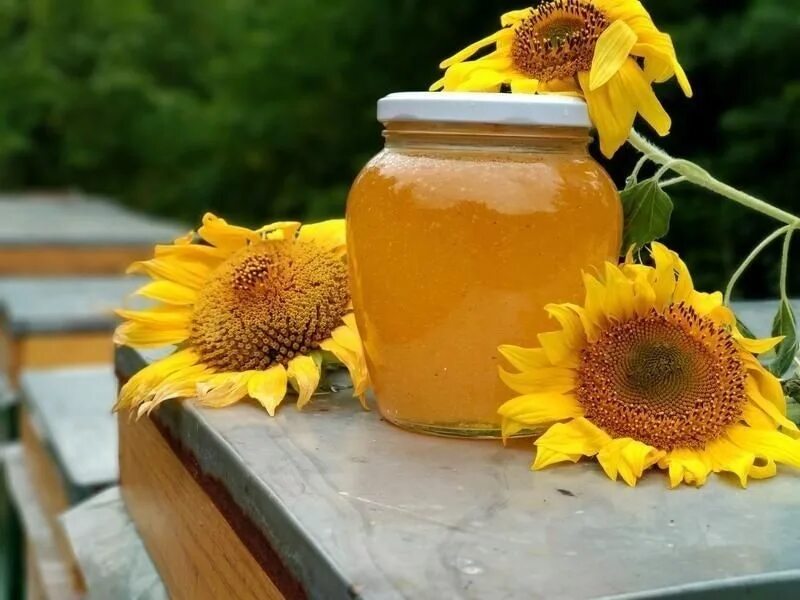Мед подсолнух. Мед подсолнух с разнотравьем. Мёд разнотравье. Мёд подсолнечник и разнотравье. Мёд подсолнечный (120мл).