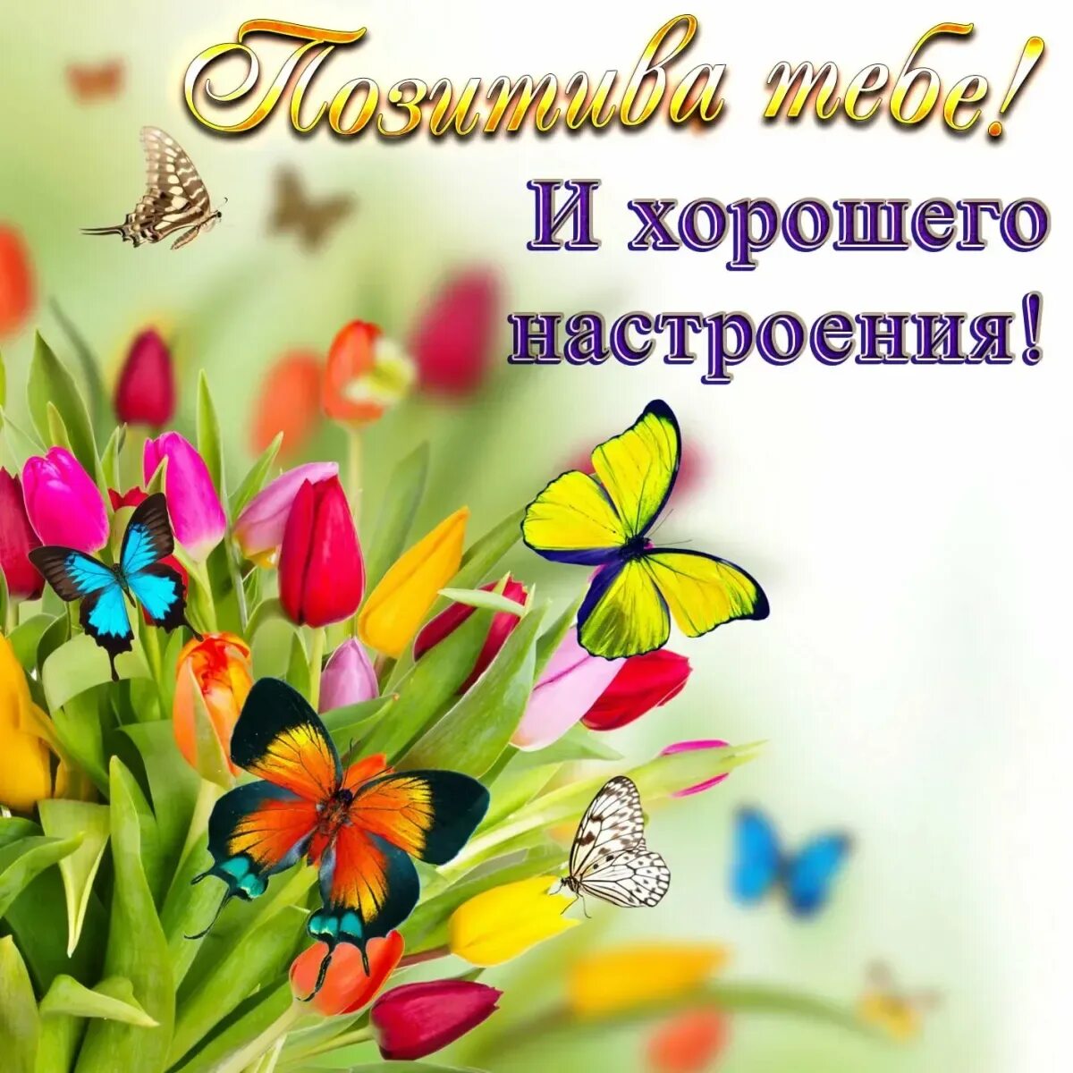 Картинка отличного дня. Отличного настроения. поздравления с хорошим настроением. доброго дня и хорошего настроения. открытка &quot;хорошего настроения&quot;.