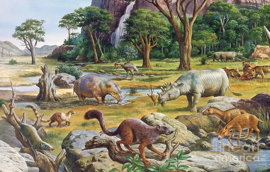 Крупнейших млекопитающих на земле. Кайнозойская Эра палеоген. Кайнозойская Эра палеогеновый период. Кайнозой Эра неоген. Кайнозой период палеоген.