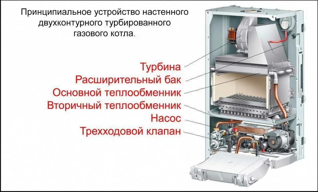 Как работает настенный газовый котел. Котёл Протерм газовый настенный одноконтурный. Принцип устройства двухконтурного котла отопления. Котёл газовый двухконтурный настенный схема. Газовый котел Mora-Top Meteor Plus pk24kt 23 КВТ двухконтурный.