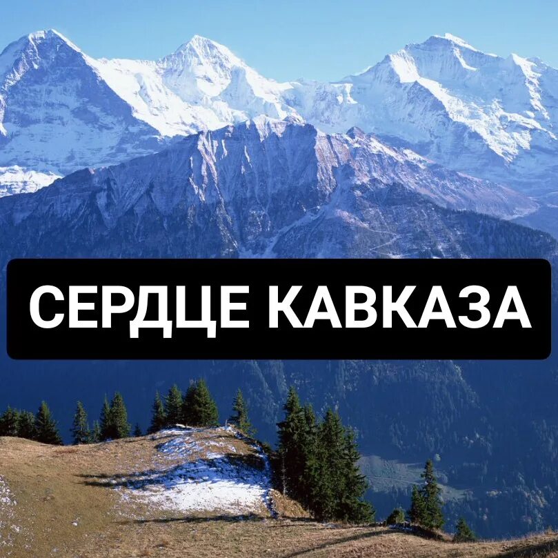 Клипы кавказской музыки. Кавказские песни сердце. Кавказские девушки с цветами. Бомбита рейсан магомедкеримов. Райсан магомедкеримов.