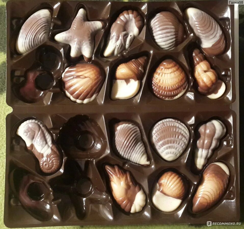 Бельгийский шоколад ракушки Ameri. Пралине (бельгийский шоколад). Шоколадные конфеты ракушки Бельгия Ameri. Конфеты ракушки с пралине. Купить конфеты ракушки