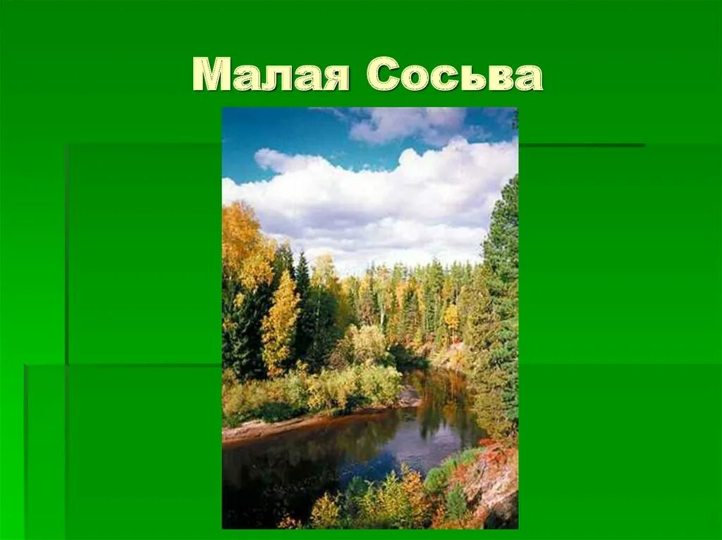 Заповедник малая сосьва. Заповедники хмао малая сосьва. Малая сосьва заповедник эмблема. Заповедник малая сосьва. Заповедники хмао малая сосьва.