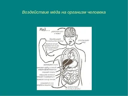 Воздействия на организм человека является