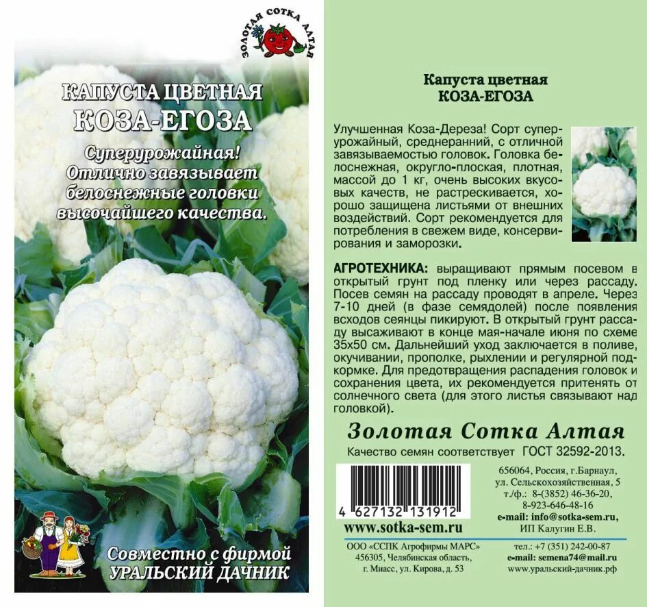 Капуста коза дереза описание. Капуста коза дереза описание. Цветная капуста коза дереза фото. Капуста коза дереза описание. Капуста коза дереза описание.