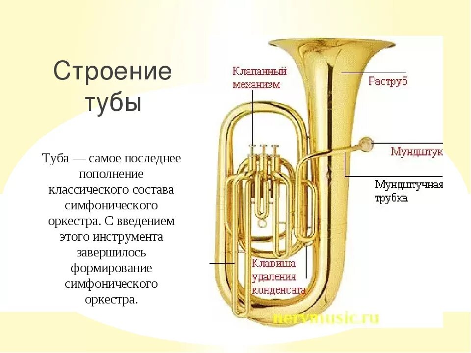 Труба пнд 32 мм внутренний диаметр таблица. Медные духовые инструменты. Труба значение. 5. Труба омоним или многозначное слово.
