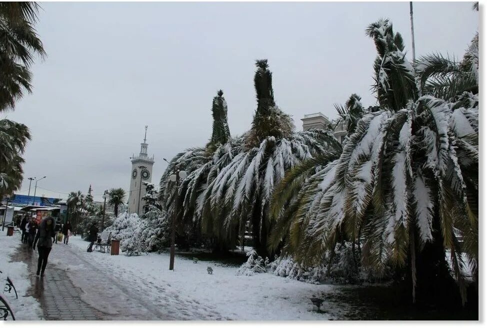 Есть ли сейчас в сочи снег. Адлер в январе. Сочи зима. Климат в сочи зимой. Есть ли сейчас в сочи снег.