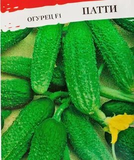 Сорт огурца гармония