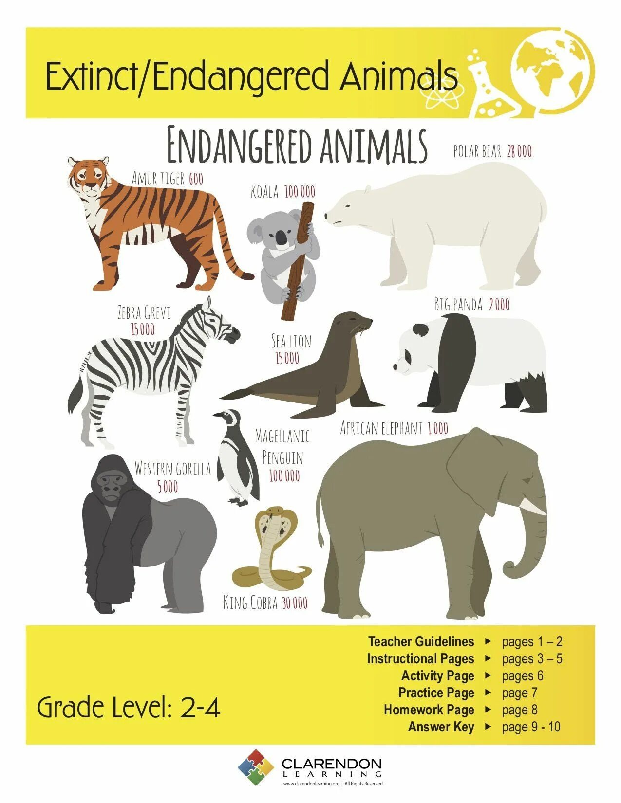 Книга animals animals