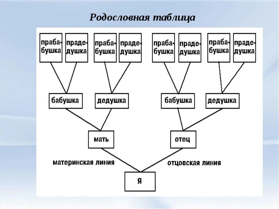 Отец отца или матери ответ. Как составить родословную схема. Родословная схема родства. Родословная таблица пример. Схема родословной семьи 4 класс.