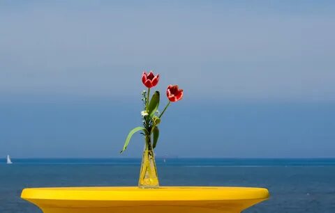 С днем рождения море цветов