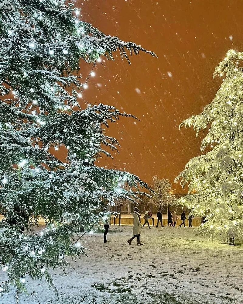 Новый все ближе. Снегопад. Снегопад в Краснодаре. Снегопад фото. Заснеженный Краснодар.