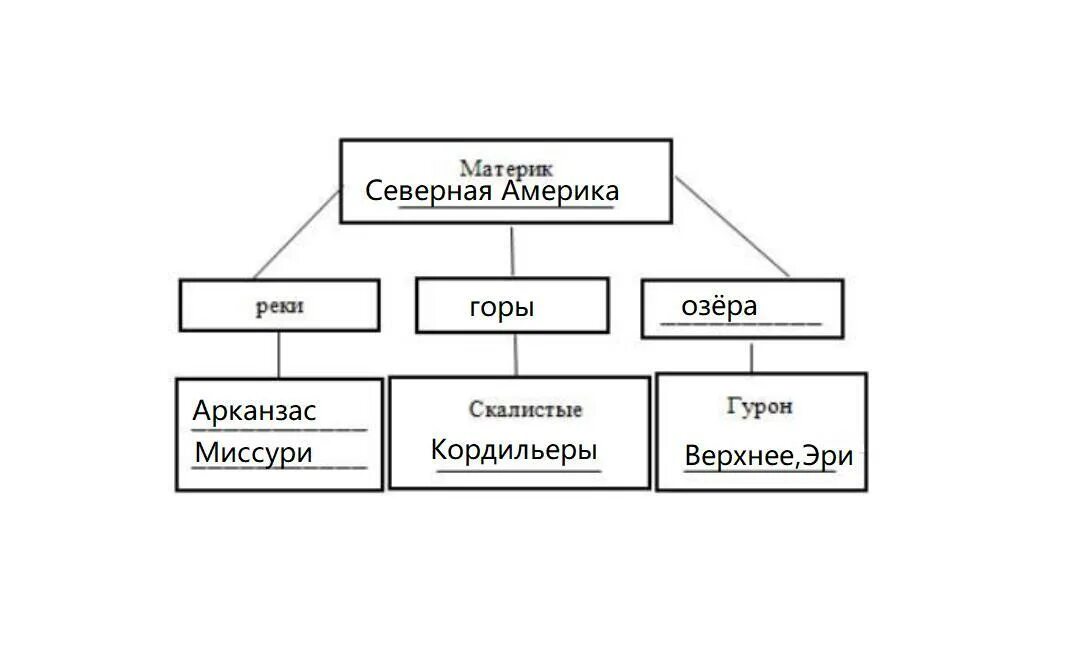 Заполните схему типы данных. Заполните схему типы данных