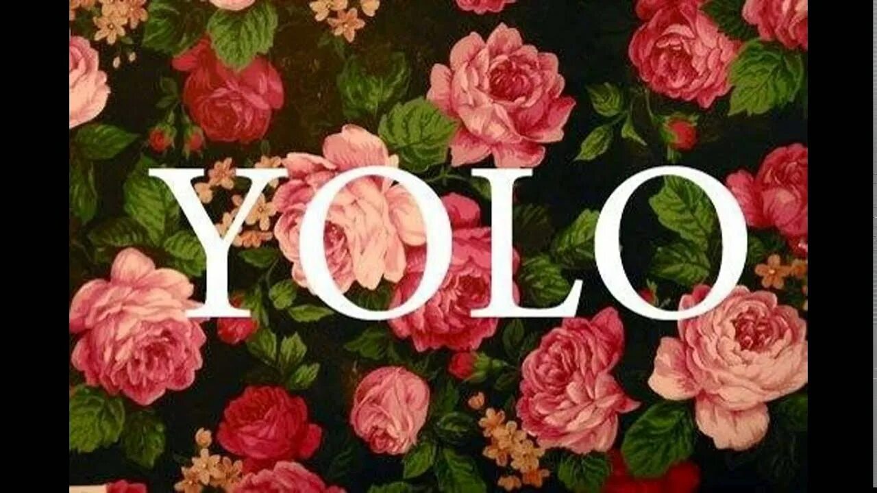 Yolo надпись. Yollo одежда. Yolo. Yollo логотип. Yolo.