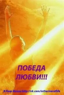 Огненный турнир победа или любовь читать полностью