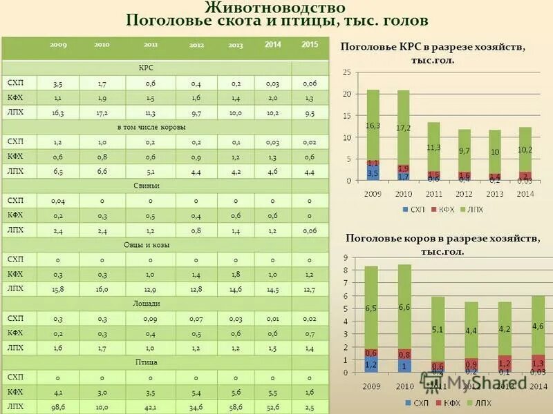 Среднегодовое поголовье