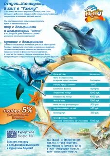 Дельфинарий курортное расписание