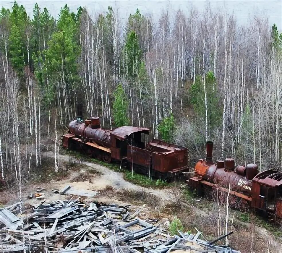 Трансполярная магистраль (стройка 501—503). Стройка 501 Трансполярная магистраль. Паровоз с Трансполярной магистрали. Трансполярная магистраль Сталина. Салехард игарка