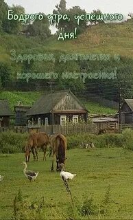 Доброе деревенское утро с надписями