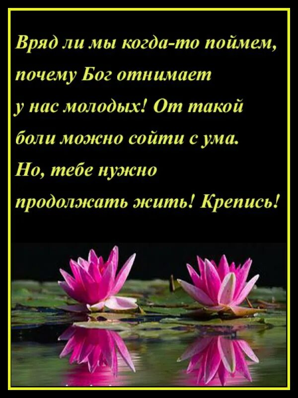 Стихи поддержки в трудную минуту. Слова поддержки подруге. Благодарность за соболезнования и поддержку. Слова сочувствия и поддержки в трудную минуту.