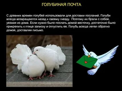 Голубиное слово