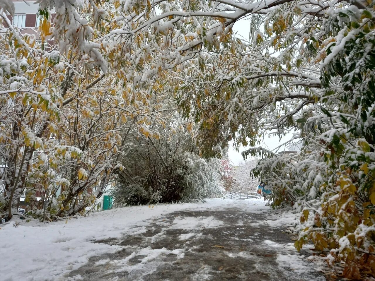 Прогноз на зиму новосибирск. Новосибирск зимой. снег фото. небольшой снег. погода зима.