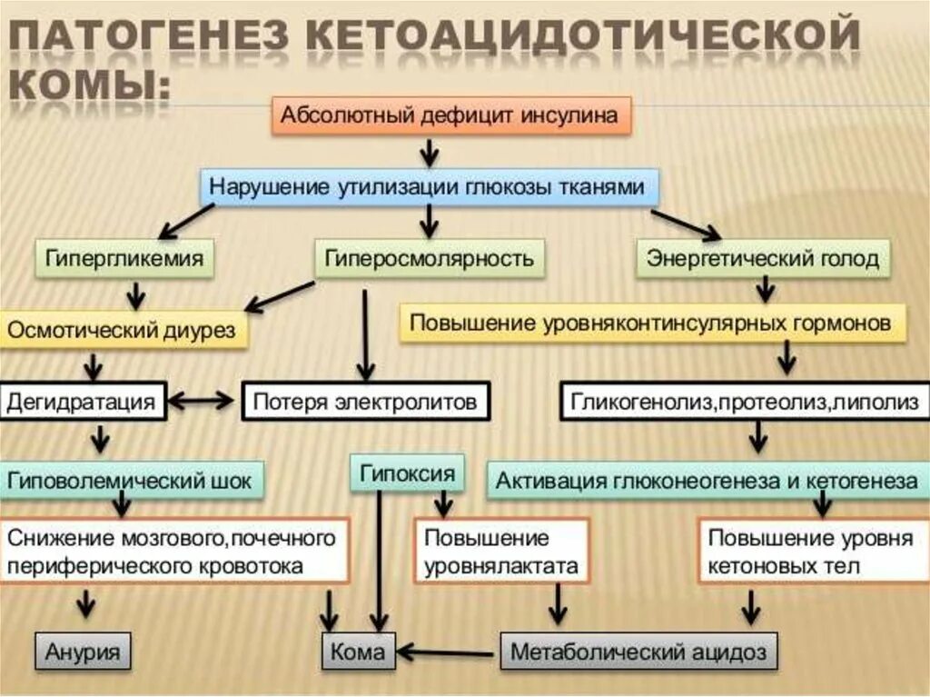 Тип комы при сахарном диабете. Патогенез диабетической кетоацидотической комы. патогенез гипергликемической комы. кетоацидотическая кома патогенез. патогенез кетоацидотической комы.