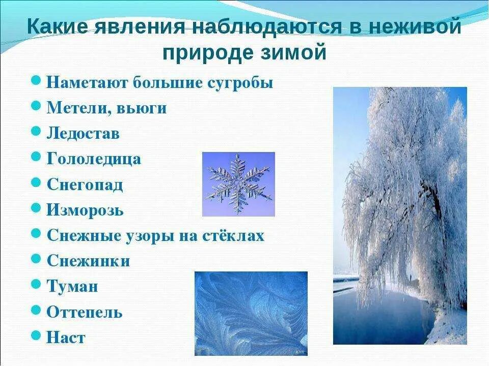 Примеры весенних явлений в неживой природе. Явления природы зимой. Явления неживой природы зимой. Явлениянежтвой природы. Явлени ене Живлй природы.