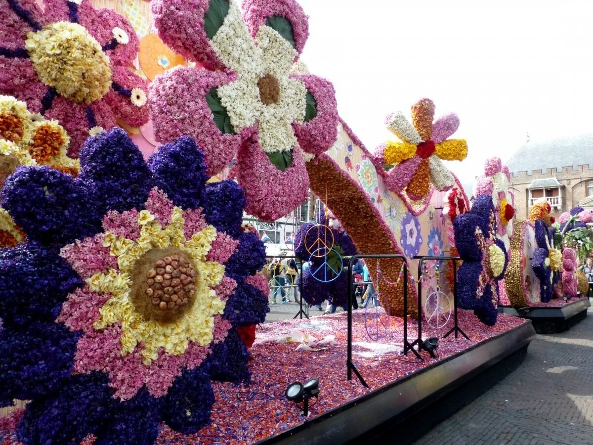 Развлечения цветов. Фестиваль цветов. Парад цветов в Голландии. Фестиваль цветов композиции. Аппликация парадцвктов.