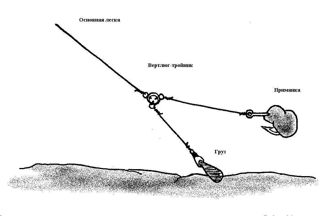 Снасть на ловлю с берега. Схема монтажа донки. Как сделать снасть на сома. Оснастка на сома для донки лучшая. Донная снасть на сома с берега.