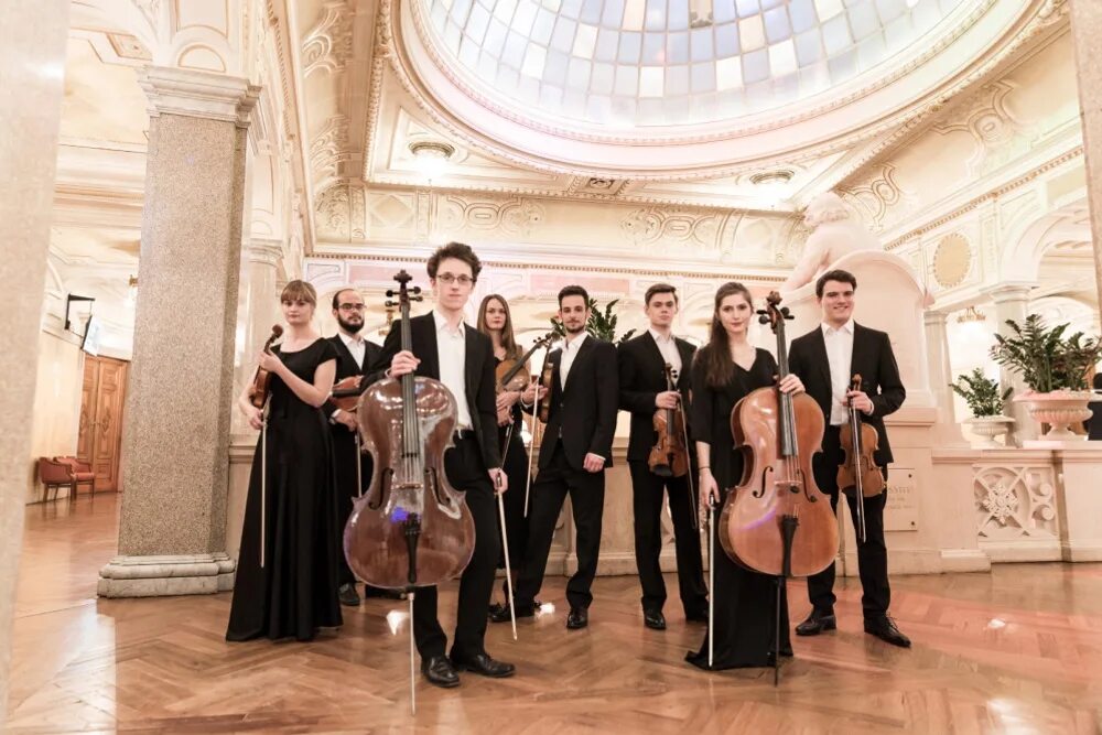 Кавер коллектив. Октет ансамбль. Ансамбль из восьми. Ансамбль ивушка переслегино. Группа princesse angine.