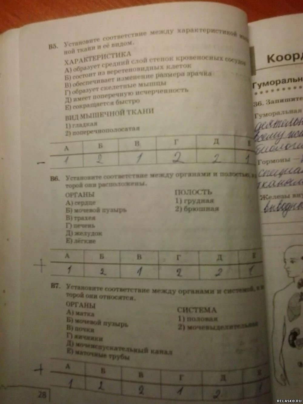 Биология 8 класс рабочая тетрадь агафонова. Тестовая тетрадь по биологии 8 класс. Тестовая тетрадь по биологии 8 класс Сонин. Биология 8 класс тетрадь тест. Гдз биология 8 класс красная тетрадь.