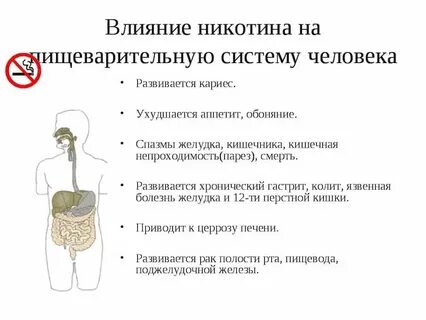 Желудка сигарет