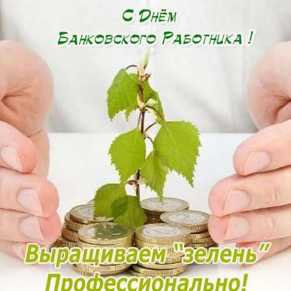 Банковский день. С днем работников банки. День банковского работника выращиваем зелень. День банковского работника фото. С днем банкира выращиваем зелень профессионально.