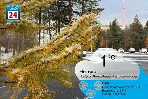 Погода в ноябрьске в ноябре