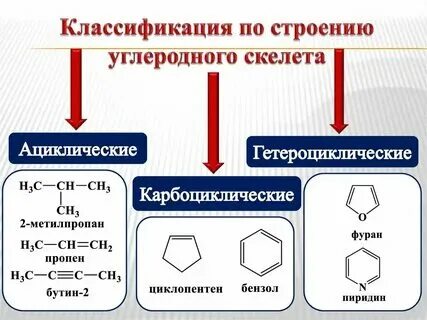 Классификация углеродного скелета. Классификация углеродного скелета