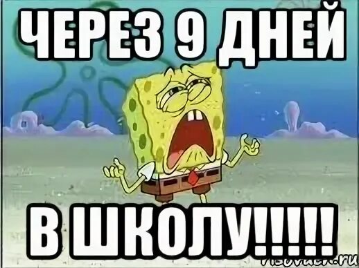 Звонок юра