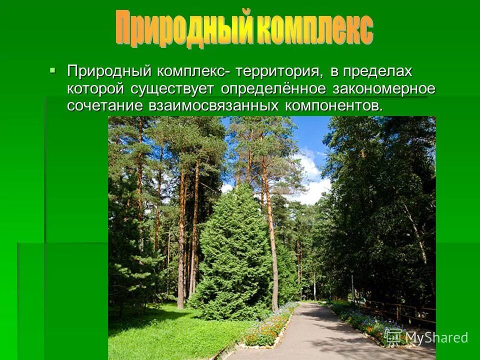 Природные комплексы. Природный территориальный комплекс. Классы природных комплексов. Природной территории на комплекс. Порядок природных комплексов начиная с самого большого